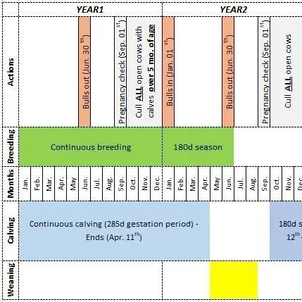 thumbnail for publication: Converting the Beef Cow Herd to a Controlled Breeding Season